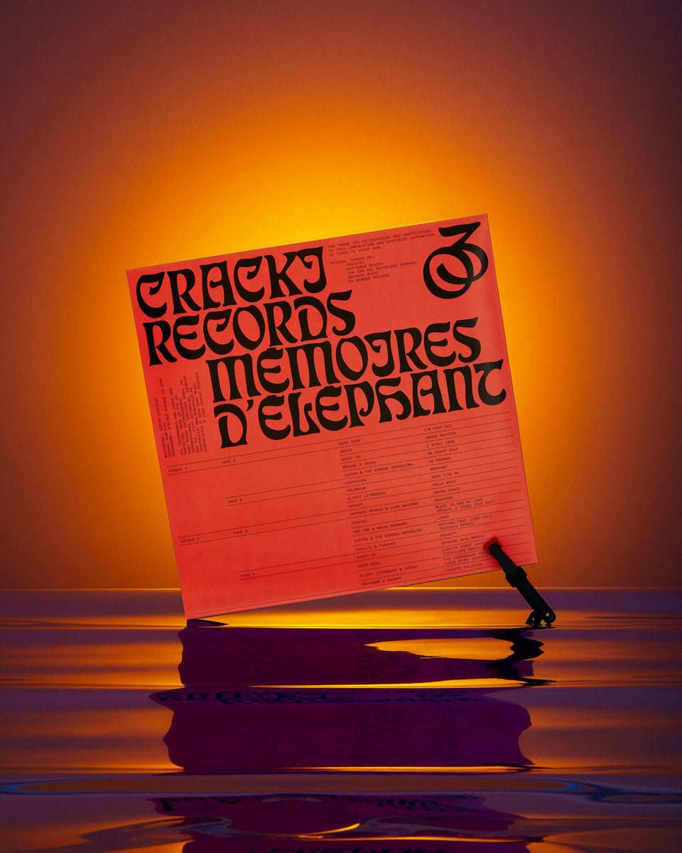 Mémoires d'Éléphant #03 - Various Artists (Vinyle)