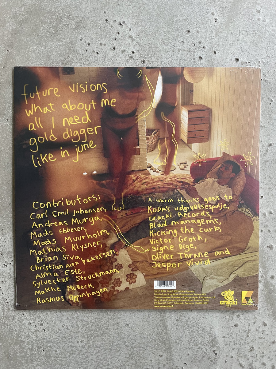 Sucre - Jonathan Schultz (Vinyle)